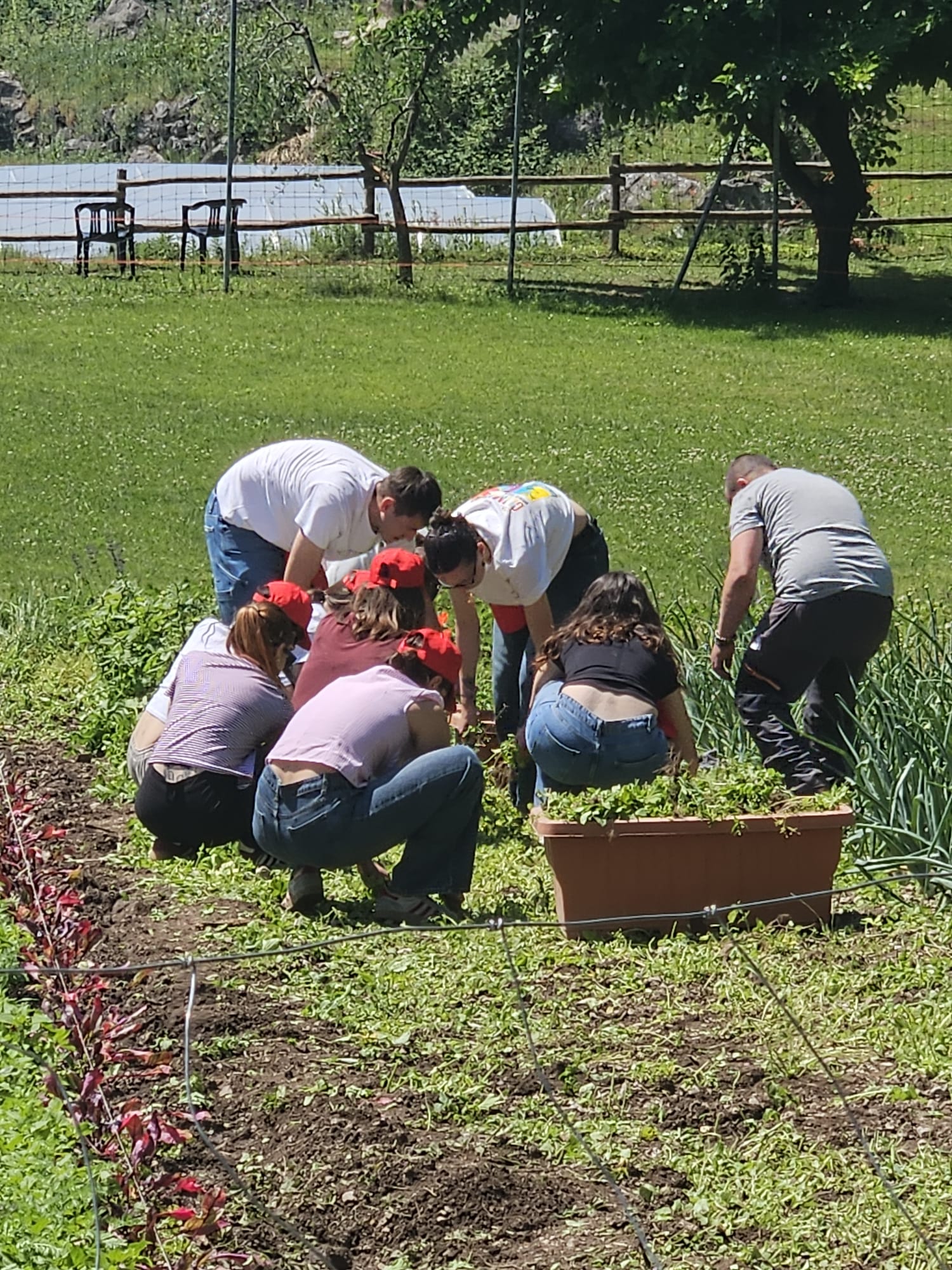 Attività agricole e lavoro condiviso con la terra