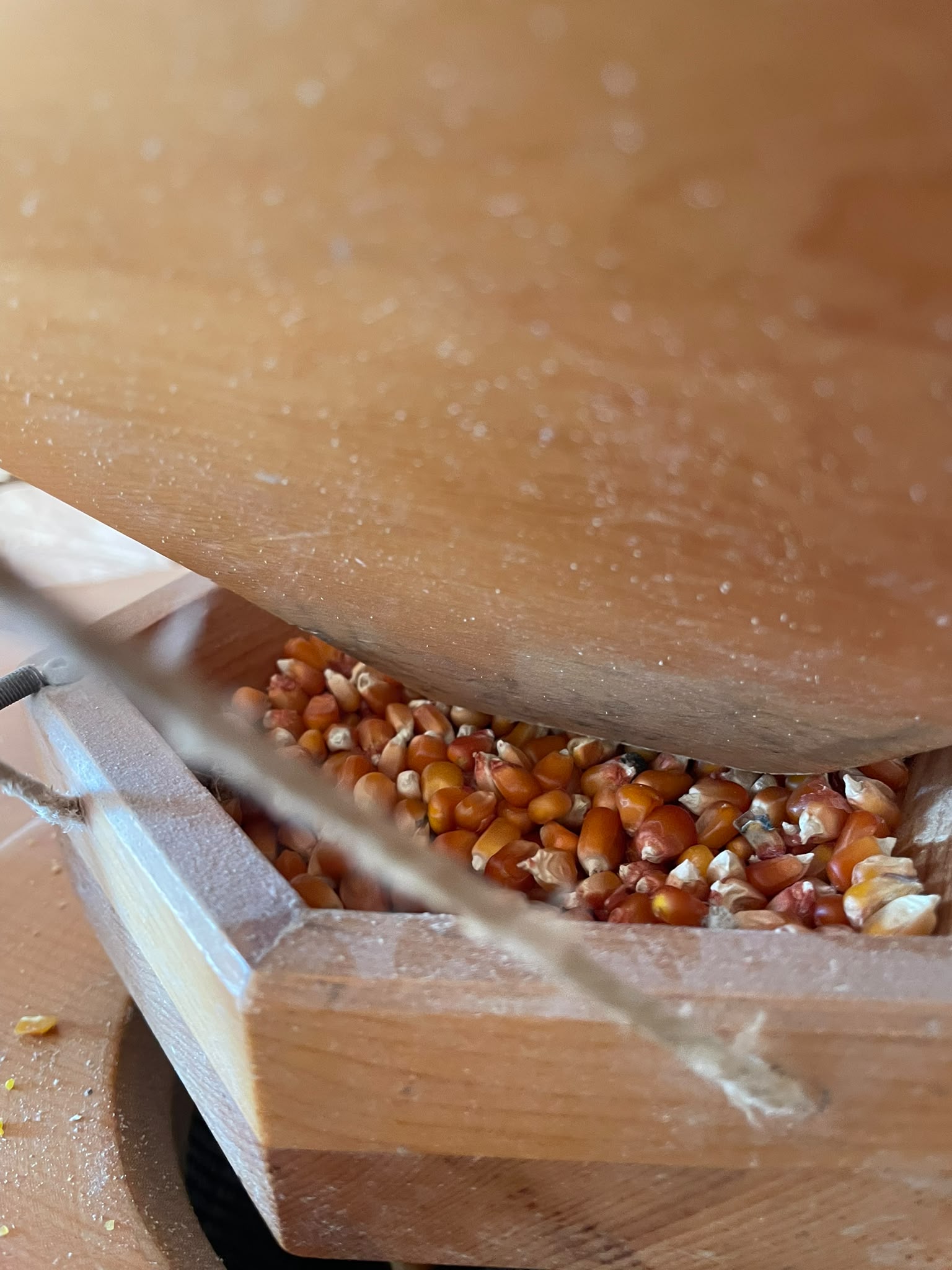 Macinatura, simbolo della trasformazione dei prodotti agricoli